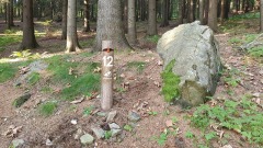 g210926027-Podzimni-akce-na-Turnovske-renovace-sloupku-APK-Pod-Turnovskou-kontrola-12