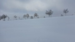 g210130007-APK-Pod-Turnovskou-vyuziti-pro-LOB-fucka
