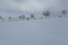 g210130007-APK-Pod-Turnovskou-vyuziti-pro-LOB-fucka